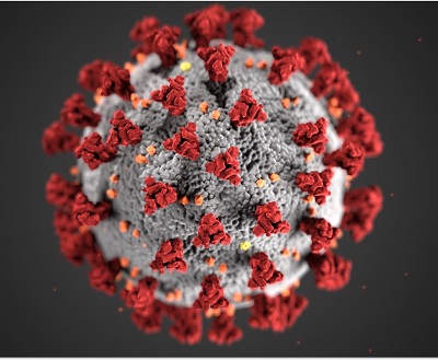 close up of coronavirus