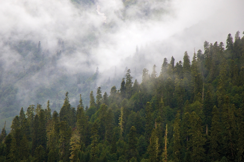 American Indian Law Practice Group Secures Victory for Treaty Rights