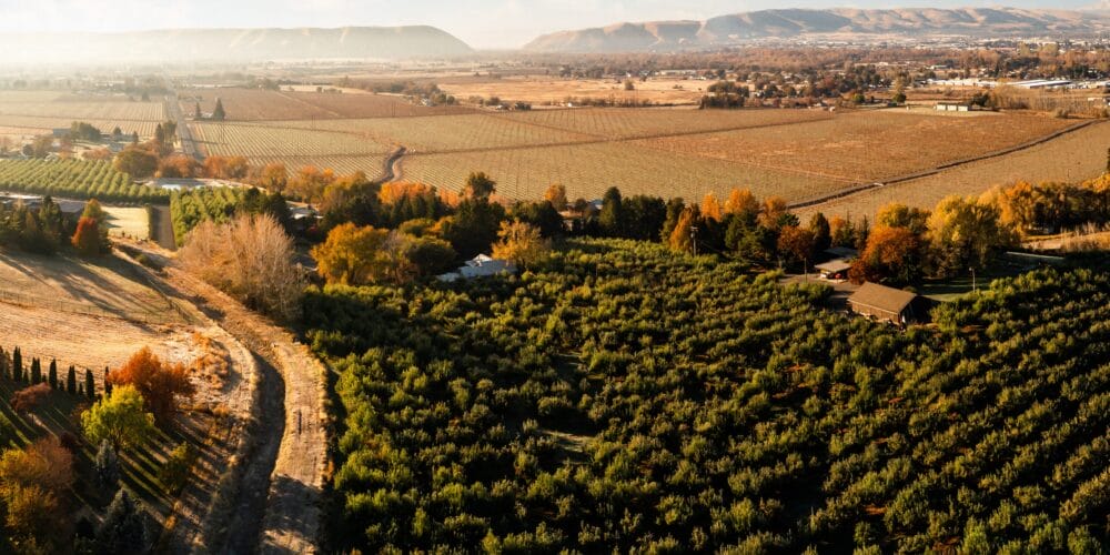 Media item displaying Yakima
