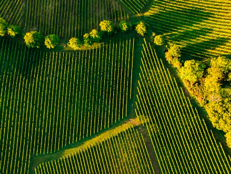 Overtime Pay for Agricultural Workers Comes to Washington State