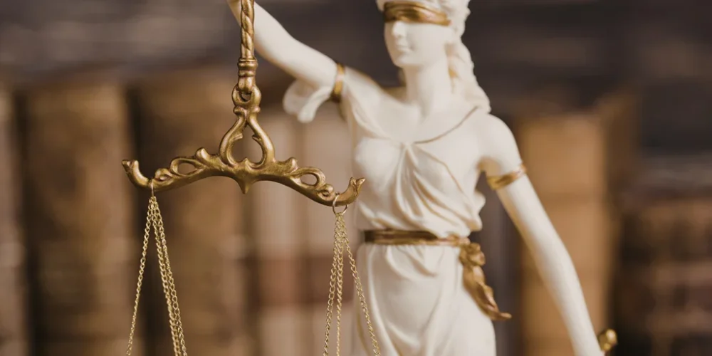 Media item displaying Litigation & Trials