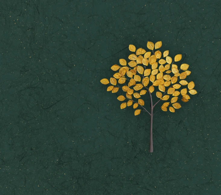 Media item displaying Trust & Estate Litigation